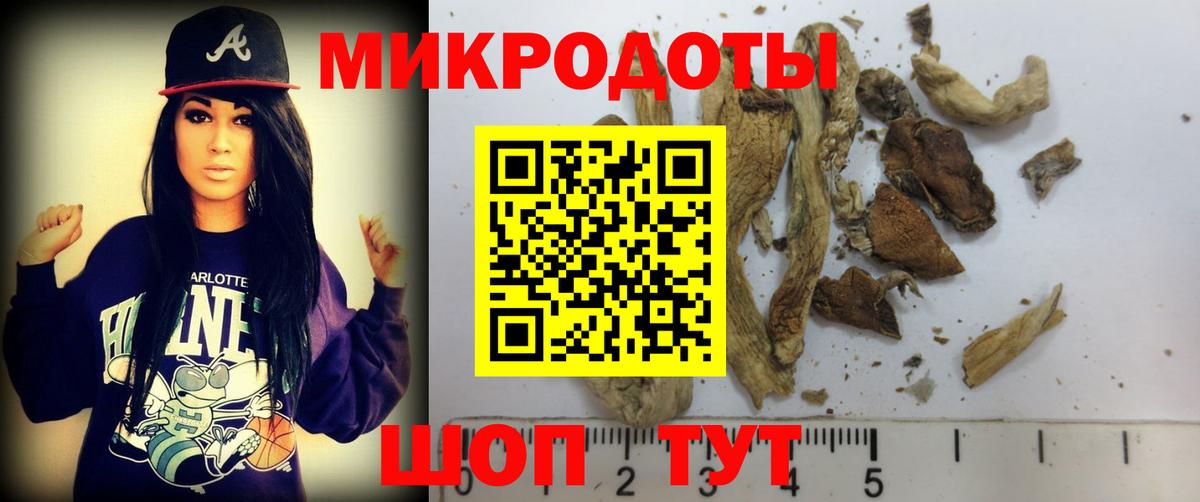 Елабуга  Галлюциногенные грибы GOLDEN TEACHER  Псилоцибиновые грибы GOLDEN TEACHER  Вход с VPN 